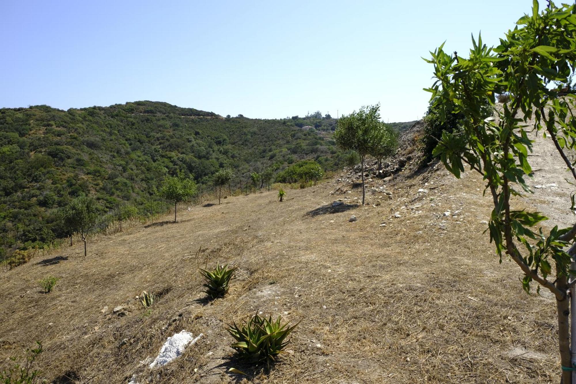 Hill'S Barbacane Potamos  Exterior foto